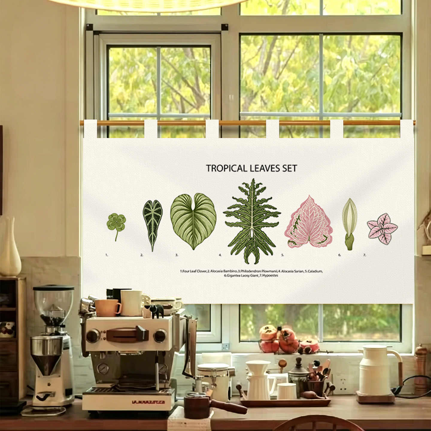 VIKAMA Vintage Hand Drawn Nore - Commercial Printing Rates 评论和价格